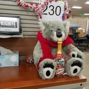 Meet your Posher, Julia